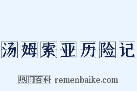 汤姆索亚历险记是什么意思的图片